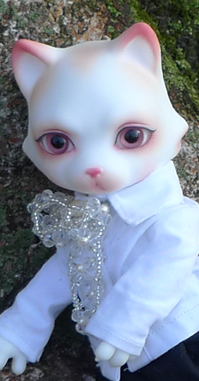 HAKUMOKUREN（白木蓮）